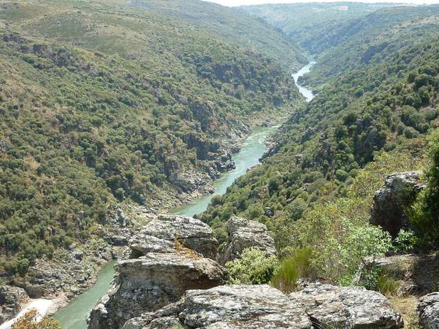 Imagen de Paradela mapa 27611 6 