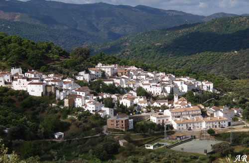 Imagen de Parauta mapa 29451 6 