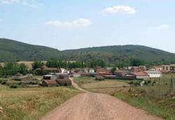 Imagen de Pardos mapa 19336 4 