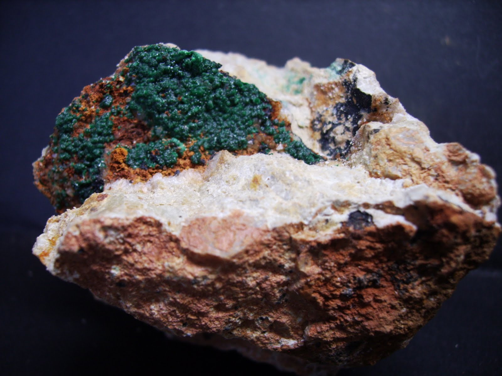 Imagen de Pardos mapa 19336 5 