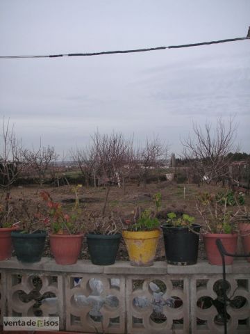 Imagen de Pastriz mapa 50195 4 