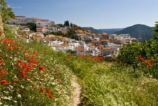 Imagen de Paterna del Madera mapa 02136 5 