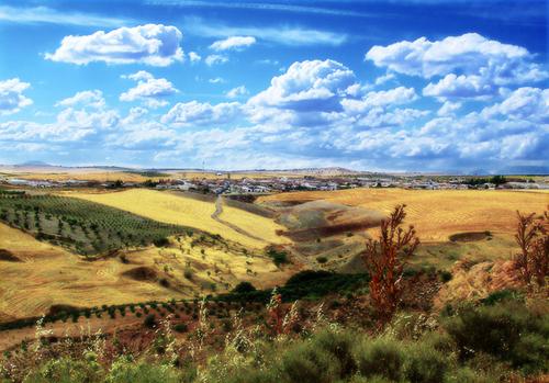 Imagen de Pedro Martínez mapa 18530 3 