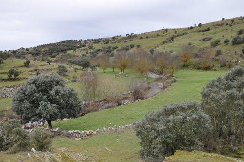 Imagen de Pedrosillo de los Aires mapa 37788 3 