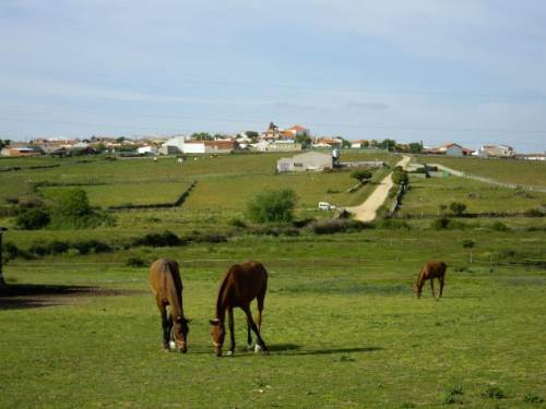 Imagen de Pedrosillo de los Aires mapa 37788 4 