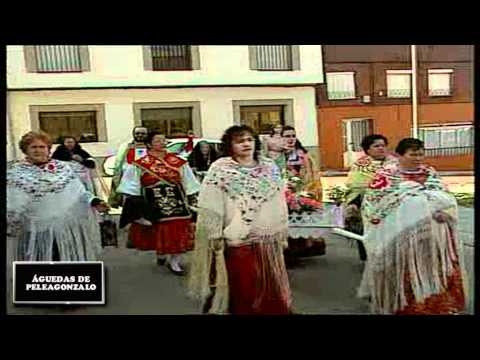 Imagen de Peleagonzalo mapa 49880 2 