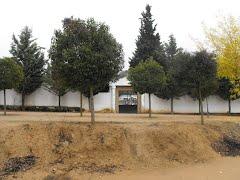 Imagen de Peleagonzalo mapa 49880 4 