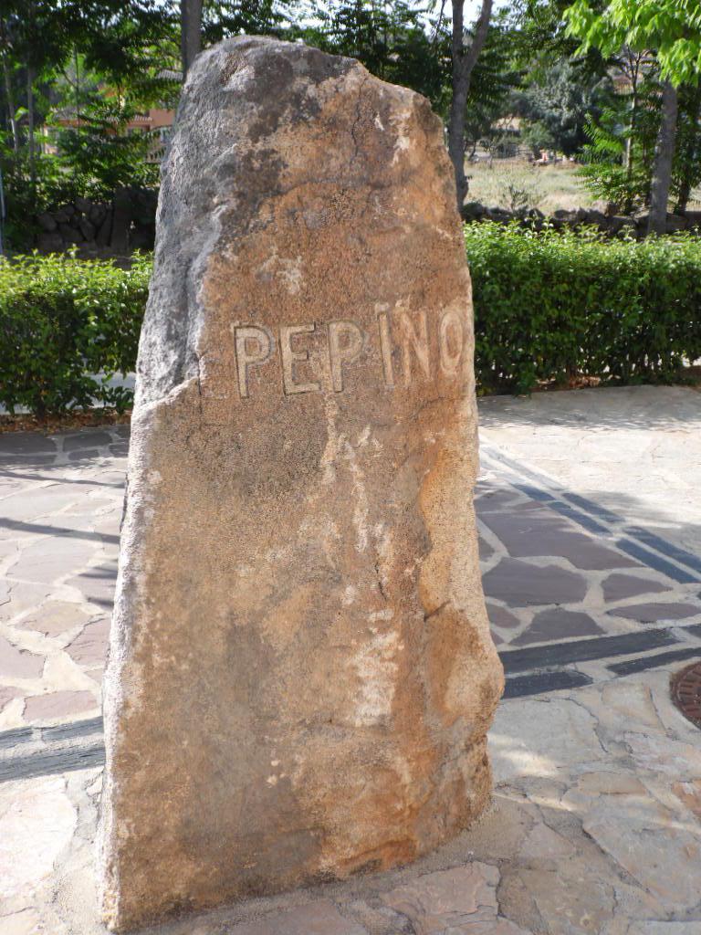 Imagen de Pepino mapa 45638 2 