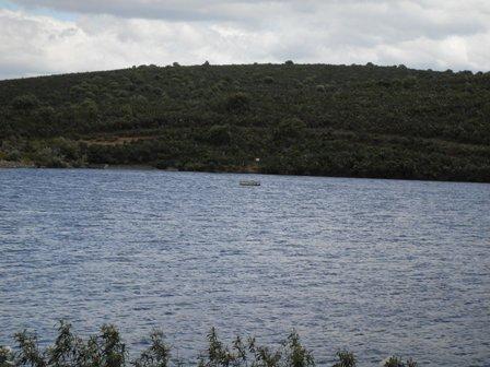 Imagen de Peraleda de San Román mapa 10334 5 