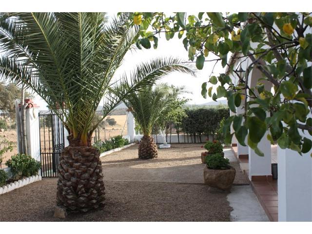 Imagen de Peraleda del Zaucejo mapa 06919 2 