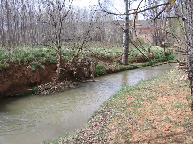 Imagen de Peralejos mapa 44162 3 