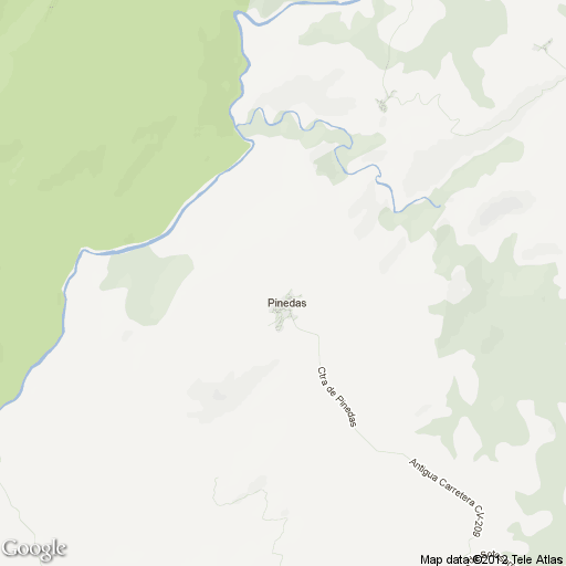 Imagen de Pinedas mapa 37712 1 