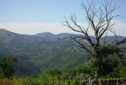 Imagen de Pinedas mapa 37712 2 
