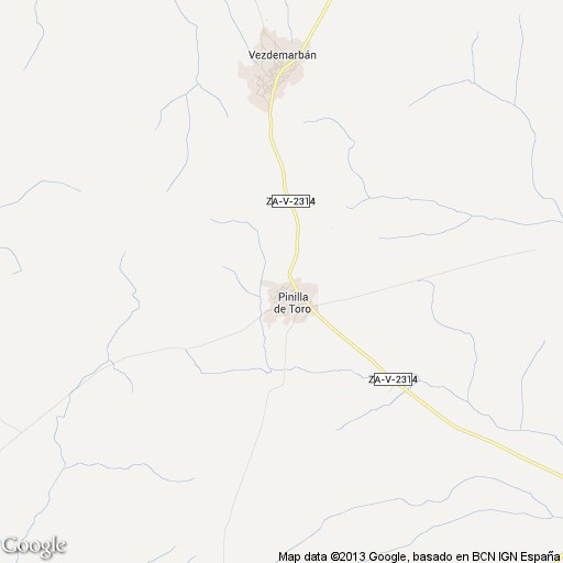 Imagen de Pinilla de Toro mapa 49850 1 