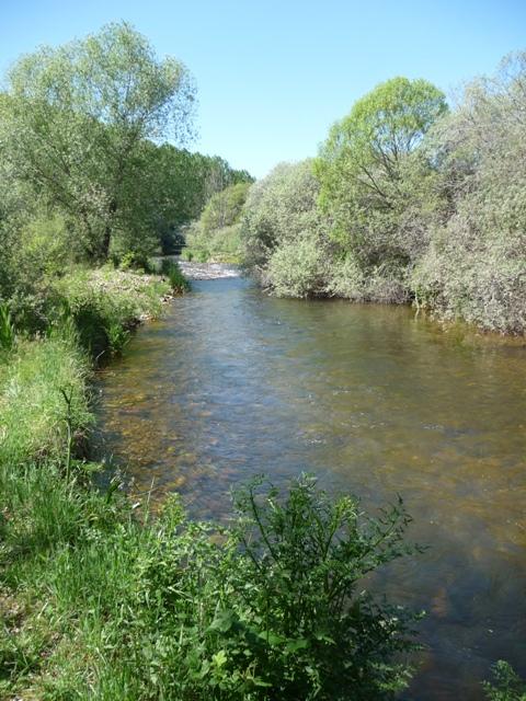 Imagen de Pino del Río mapa 34110 5 