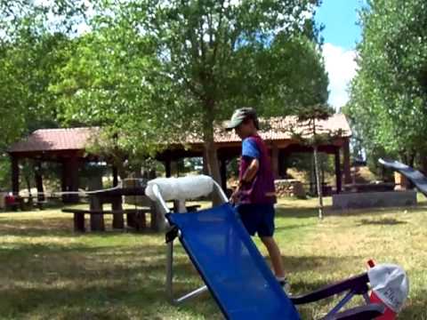 Imagen de Pino del Río mapa 34110 6 