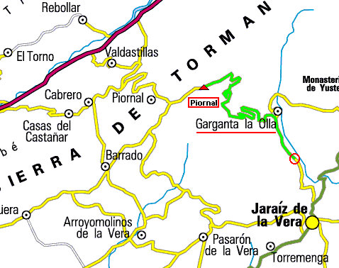 Imagen de Piornal mapa 10615 6 