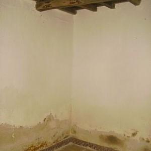Imagen de Pizarral mapa 37795 5 