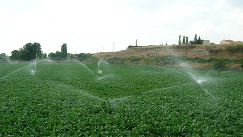 Imagen de Pobladura de Pelayo García mapa 24249 4 
