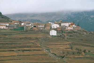 Imagen de Pomer mapa 50259 6 