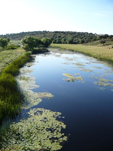 Imagen de Pozos de Hinojo mapa 37216 5 
