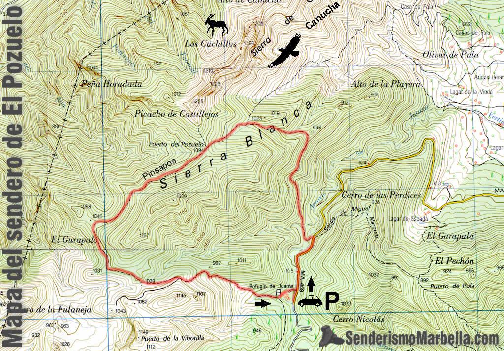 Imagen de Pozuelo mapa 02327 6 