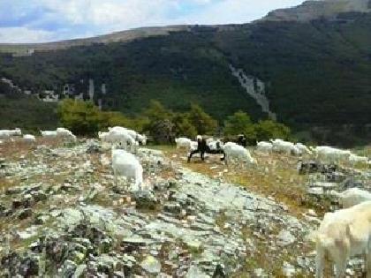 Imagen de Prádena del Rincón mapa 28191 5 