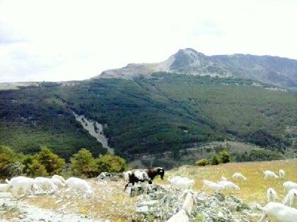 Imagen de Prádena del Rincón mapa 28191 6 