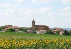 Imagen de Prados Redondos mapa 19352 3 