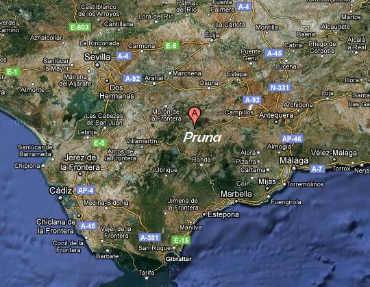 Imagen de Pruna mapa 41670 3 