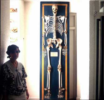 Imagen de Puebla de Alcocer mapa 06630 3 