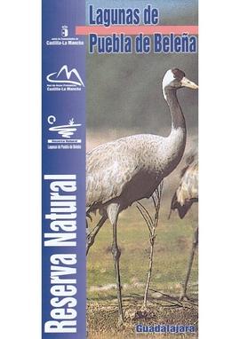 Imagen de Puebla de Beleña mapa 19229 1 