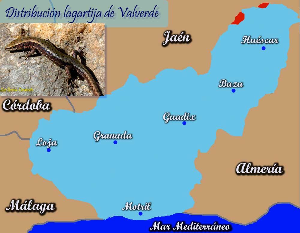 Imagen de Puebla de Don Fadrique mapa 18820 6 