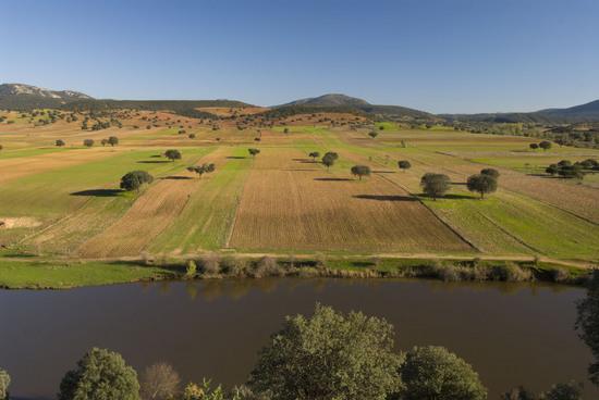 Imagen de Puebla de Don Rodrigo mapa 13109 3 