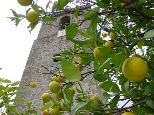 Imagen de Puerto de Santa Cruz mapa 10261 5 