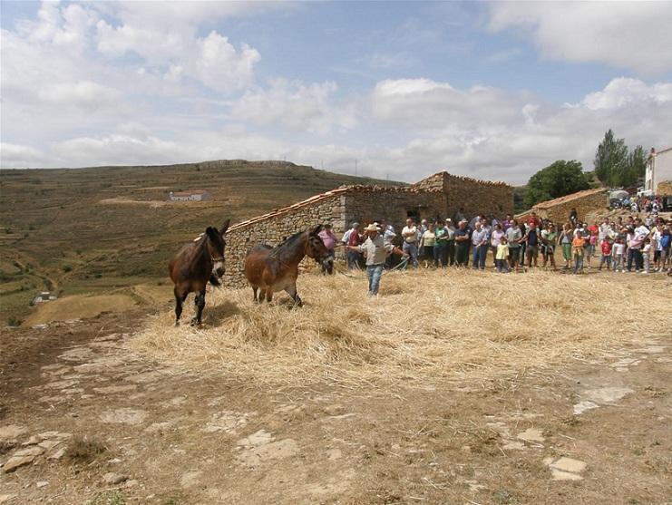 Imagen de Puertomingalvo mapa 44411 6 