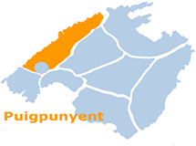 Imagen de Puigpunyent mapa 07194 4 