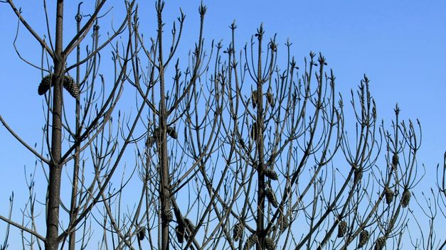 Imagen de Pujerra mapa 29450 3 