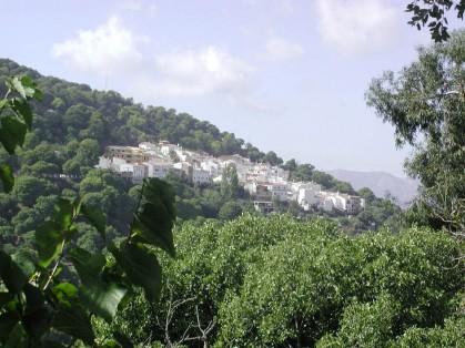 Imagen de Pujerra mapa 29450 4 