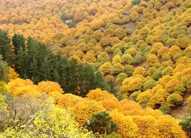 Imagen de Pujerra mapa 29450 6 