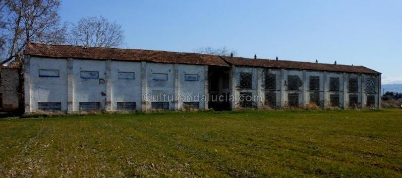 Imagen de Pulianas mapa 18197 5 