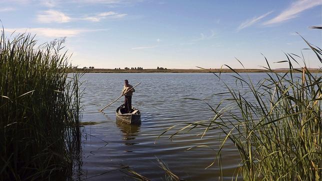 Imagen de Quero mapa 45790 6 