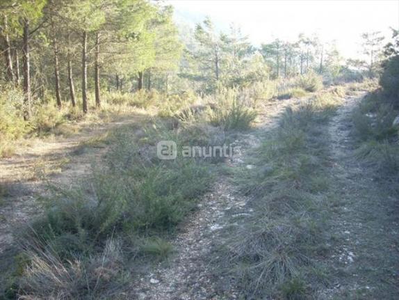 Imagen de Querol mapa 43816 2 