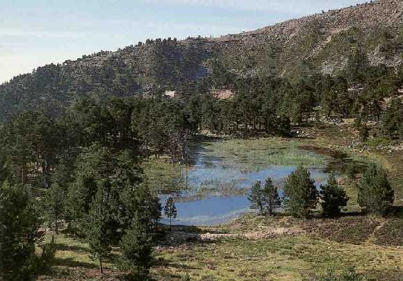 09670 código postal de Quintanar de la Sierra