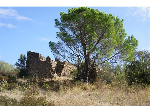 Imagen de Rabós mapa 17754 3 