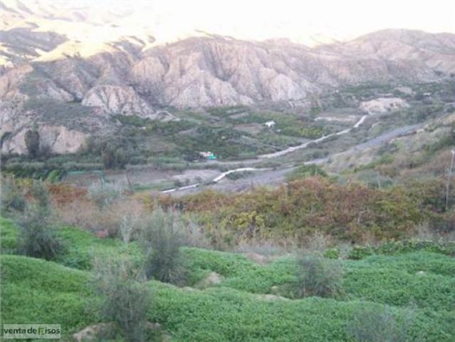 Imagen de Rágol mapa 04440 6 