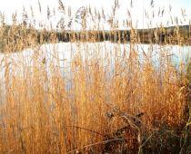 Imagen de Rairiz de Veiga mapa 32652 3 