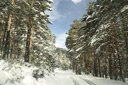 Imagen de Regumiel de la Sierra mapa 09693 4 