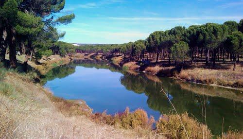 Imagen de Remondo mapa 40216 3 