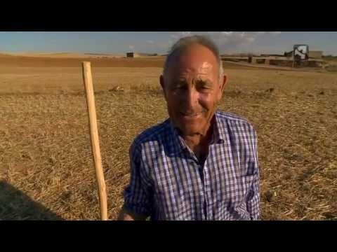 Imagen de Retascón mapa 50367 3 